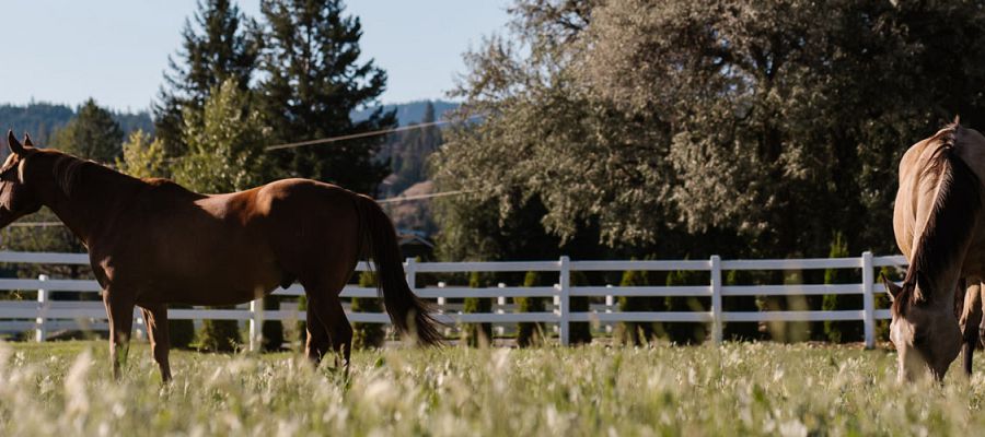 Things to do in Kamloops, BC